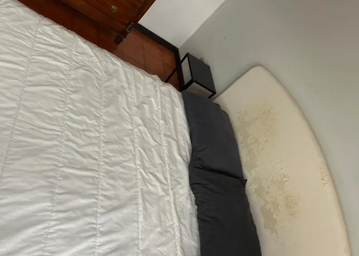 Pensjonat Ciamarra Pet Friendly Dog And Cat Accepted Rzym